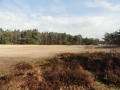 2017-03-01 Rosmalen Oss 003