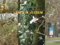 17-03-15 VESSEM (9)