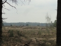2017-04-12 Landhorst 003