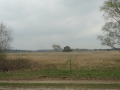 2017-04-12 Landhorst 004