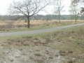 2017-04-12 Landhorst 005