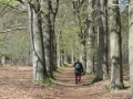 2017-04-26 Drunen 010
