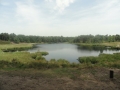 2017-07-19 Overasselt 014