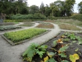 2017-10-12 Oranjewoud033 (Kopie)