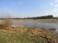 2018-02-28 Boxtel Kampina 004