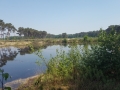 2018-05-09 Riethoven 013 (Kopie)