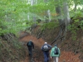 2018-09-24Drachenfels019