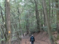 2018-09-26Grafenbusch006