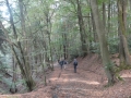 2018-09-26Grafenbusch009
