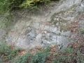 2018-09-26Grafenbusch014
