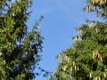 2018-09-26Grafenbusch057
