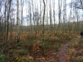 2018-12-19Maarheeze012