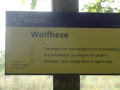 2019-08-28Wolfheze004