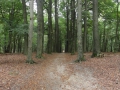 2019-09-24Rozendaal009