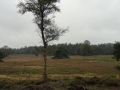 2019-09-25LoenenEerbeek008
