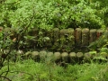 2019-09-25LoenenEerbeek017