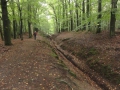 2019-09-25LoenenEerbeek021