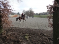 2019-12-18Heeswijk011