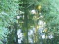 2020-08-12Middelrode005