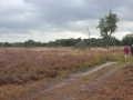 2020-10-07Leenderstrijp026