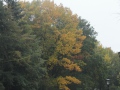 2020-10-21-Vessem-002