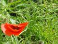 2022-06-01-Heeze-007