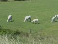 2022-06-15-Liessel-007