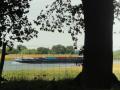2022-07-13-Tull-017