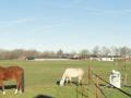 2023-02-08-Esbeek-005