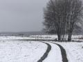 2023-03-08-Loon-op-Zand-019