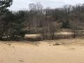 2023-02-22-Drunense-Duinen-012