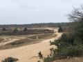 2023-02-22-Drunense-Duinen-013