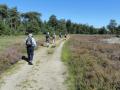 2023-09-06-Leenderstrijp-026