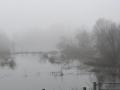 2024-03-06-Heesselt-007