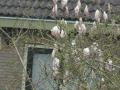 2024-03-06-Heesselt-024