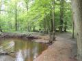 2024-06-12-Baarschot-009