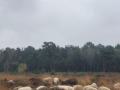 2024-10-30-Loon-op-Zand-001