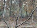 2024-10-30-Loon-op-Zand-013