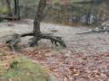 2024-10-30-Loon-op-Zand-020