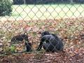 2024-11-13-Stiphout-006