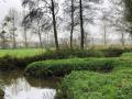 2024-11-13-Stiphout-007
