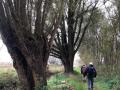 2024-11-13-Stiphout-008