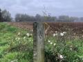 2024-11-13-Stiphout-010