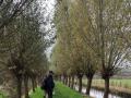 2024-11-13-Stiphout-013