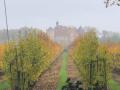 2024-11-13-Stiphout-014