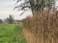 2024-11-13-Stiphout-016