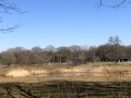 2025-03-19-Rosmalen-007