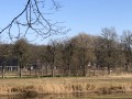 2025-03-19-Rosmalen-008