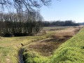 2025-03-19-Rosmalen-009