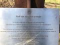 2025-04-02-Langenboom-009
